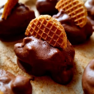 May include: Several round chocolate-covered confections topped with a small, golden-brown, circular waffle cookie piece. Each treat is coated in a smooth, dark brown chocolate layer with a light dusting of cocoa powder on the surface.