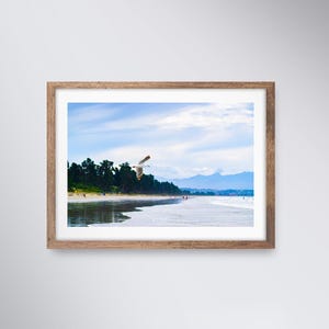Gabbiano in volo a Rabbit Island Nelson NZ Fine Art Wall Print