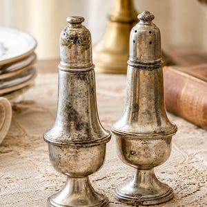 May include: A pair of tarnished silver-toned metal salt and pepper shakers with a pedestal base, a rounded body, and a removable cap featuring small holes at the top. The surface of both shakers shows a weathered, aged patina with dark spots.
