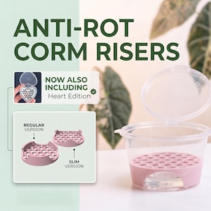 Anti-Rot Alocasia Corm Risers - Support-Free 3D Print File (3MF)