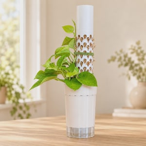 Modulaire mosstok met druppelbeker voor klimplanten - zelfwaterende plantensteun