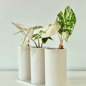 Vaso autoirrigante Japandi • Vaso minimalista stampato in 3D, set di fioriere modulari