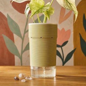 Vaso autoirrigável (6 cm) para cultura de tecidos e cormos - Vaso para aclimatação de plantas raras