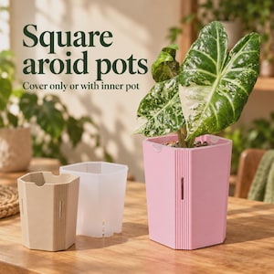 Vaso quadrato per Araceae con coperchio – Vaso interno trasparente opzionale, 5–15 cm