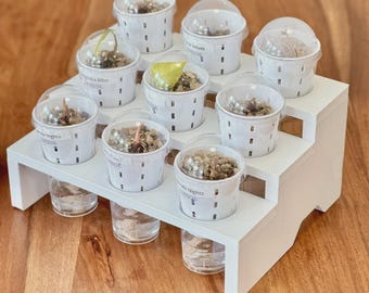 Mini-opstapplateau voor IKEA Milsbo & Åkerbar-kaskasten voor 4,5 cm kiempotten