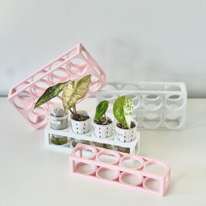 Può includere: Una collezione di stazioni di propagazione per piante rettangolari con ritagli circolari. Il set include due telai rosa e un telaio bianco, con piccoli vasi bianchi contenenti foglie verdi e variegate posizionati nella stazione bianca.
