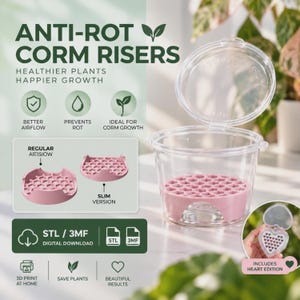 Puede incluir: Un recipiente de plástico transparente con tapa abatible que contiene un elevador de cormos rosa con patrón de panal. La imagen incluye etiquetas de texto para elevadores anti-podredumbre, versiones regulares y delgadas, y una edición de corazón.