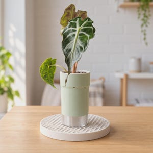 Bandeja de umidificação para plantas — Prato gotejador de 2 peças para plantas de interior