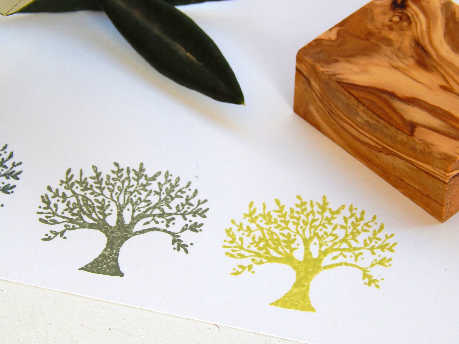Olive Tree Olive Wood Stamp Etsy