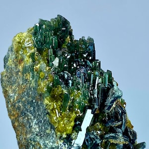 May include: A mineral specimen featuring a cluster of dark green, elongated prismatic crystals growing from a textured, greyish-green rock matrix. The formation includes smaller, vibrant yellow-green crystalline deposits scattered throughout.