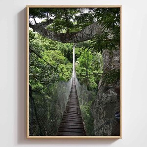 Amazon Canopy Bridge Digital Print | Amazon Rainforest Wall Art | Rainforest Canopy Travel Photo | Amazon Rainforest Printable Wall Decor