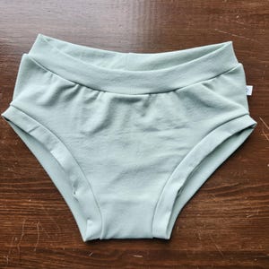 May include: A pair of solid light mint green underwear featuring a wide, folded waistband and leg openings with a smooth, matte finish. A small white fabric tag is visible on the right side seam of the garment, which has a high-cut leg design.