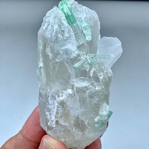 Bi-Colour Tourmaline Crystals Embedded In Quartz From Afghanistan