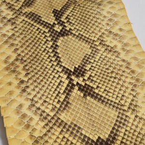 Peut inclure: Gros plan sur une peau de serpent brun clair avec un motif brun foncé. La peau est lisse et légèrement texturée.