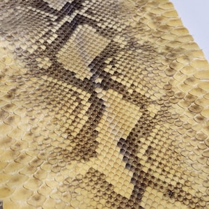 Chute Morceau Cuir Peau Python Serpent Véritable Maroquinerie Luxe