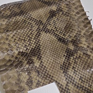 Peut inclure: Gros plan sur un morceau de peau de serpent brun avec un motif texturé.