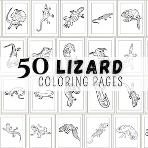Lizard Coloring Pages Printable for Adults, Reptile Coloring Pages Printable, Reptile and Amphibian Coloring Pages, Instant Use Coloring PDF