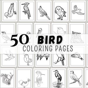 May include: A collection of 50 bird coloring pages. Each page features a different bird illustration in black and white, ready for coloring. The text "50 BIRD COLORING PAGES" is displayed across the center.