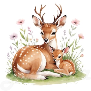 17 PNG Deer Family Clipart, Watercolor Fawn Doe Illustration, Cute Woodland Animals, Mother&#39;s Day PNG, Transparent Background, Baby Deer PNG