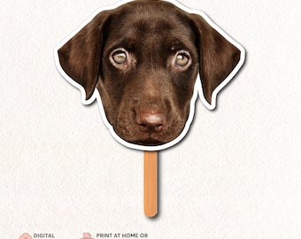 Pet’s Face on a Stick | Cat Head on a Stick | Dog Head Cutout | Fat Head Pet Sign | Custom Head Photobooth Prop | Cat Cutout | Dog Cutout