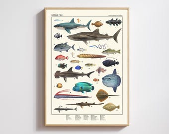 Animal Crossing Sea Fish Poster, ACNH Museum Critterpedia Print, Ocean Saltwater Fish Wall Art, Digital Download, Gamer Gift, Vintage Style