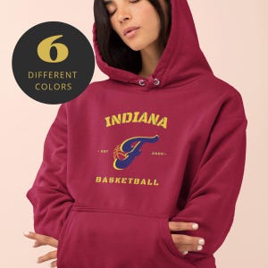 Indiana Women Basketball WNBA Indiana Fever Basketball Hoodie Caitlyn Clark Sweatshirt Girls Basketball Gift For Basketball Fans NBA Shirt