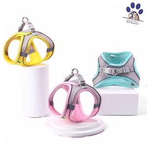 Soft Mesh Dog Harness and Leash Set – Adjustable, Breathable Vest for Small Pets – Puppy Walking Harness