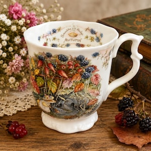 Brambly Hedge China Mug - Etsy