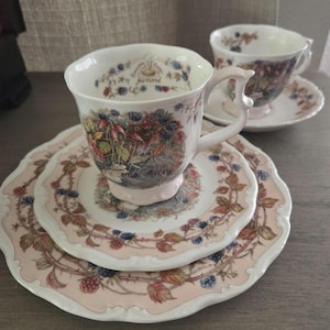 Brambly Hedge Royal Doulton - Etsy