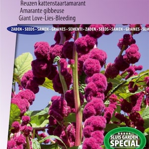 Dreadlocks Reuzen Kattenstaartamarant Zaden: Kweek Prachtige, Unieke Kattenstaarten - Grow Stunning, Unique Giant Amaranthus Flowers