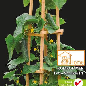 Cucumber Patio Snacker F1 – Semi per cetrioli deliziosi e croccanti sul tuo patio