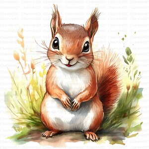 Clipart aquarelle d'écureuil, 12 fichiers JPG d'écureuil de haute qualité, pour la fabrication de cartes, techniques mixtes, créations numériques sur papier et plus, animaux de la forêt