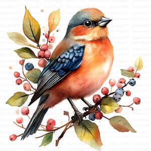 30 imagens de clipart de passarinhos fofos, JPGs de alta qualidade, download digital, clipart de aquarela de voo de pássaros, clipart de aquarela de voo de pássaros