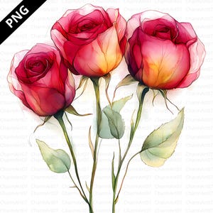 15 Clipart di rose rosse astratte, vivaci disegni floreali ad acquerello, fiori artistici, acquerelli stampabili, PNG di alta qualità, carta da parati, JunkJournal
