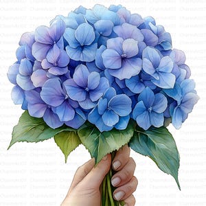 15 clipart de hortênsias variadas, buquê de hortênsias, clipart de aquarela para impressão, PNG de alta qualidade, download digital, diário de lixo, artesanato em papel