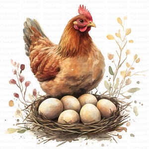 13 gallinas con sus polluelos, Gallo, Gallina, Pollo en acuarela, Animales de granja, Huevo