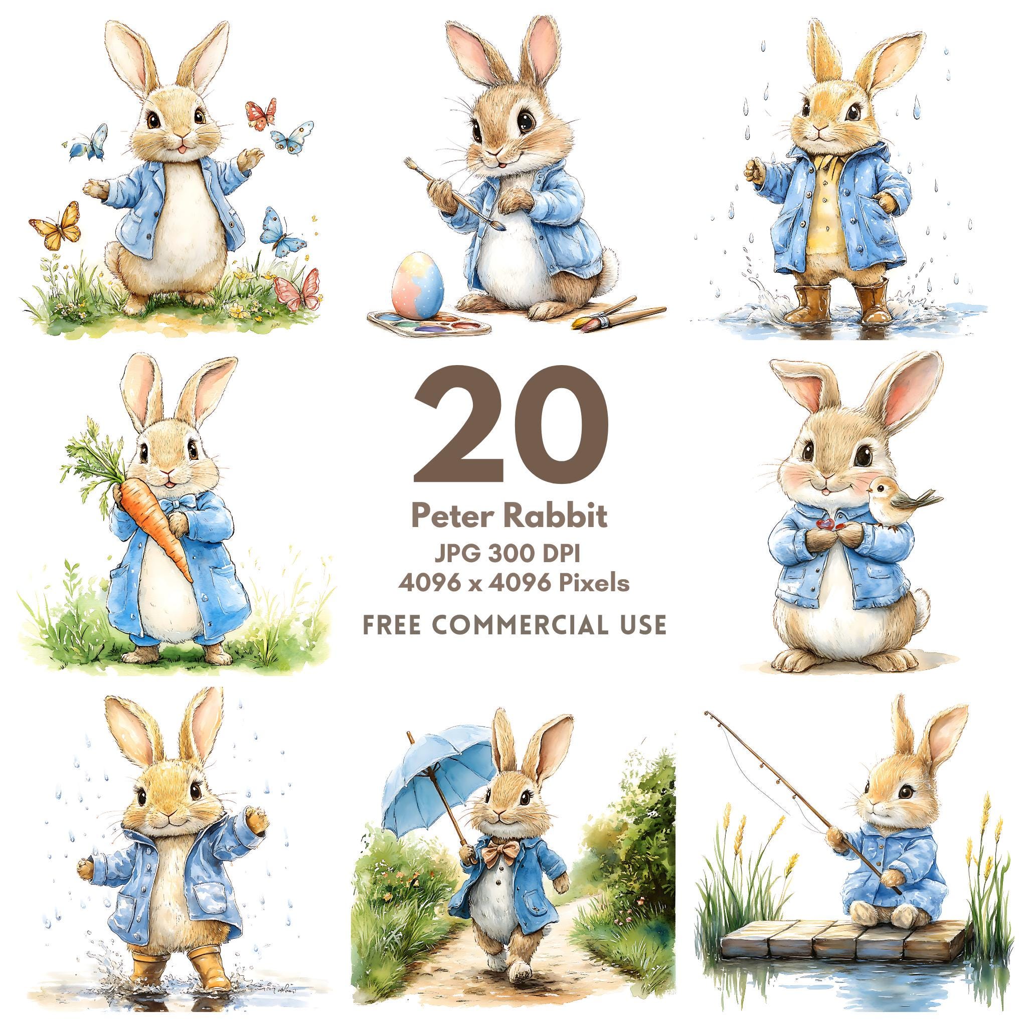 20 Peter Rabbit Clipart, Beatrix Potter Style, High Quality JPG ...