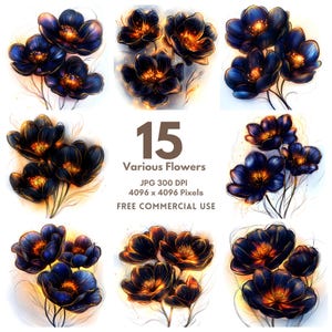 15 Vários clipart de flores, clipart de flores abstratas, clipart de aquarela, JPGs de alta qualidade, download digital, flor abstrata matisse