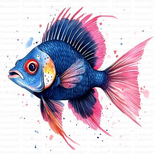 26 imágenes prediseñadas de peces, imágenes prediseñadas de peces de colores, imágenes de pesca en alta calidad (JPG), imágenes de peces dorados, arte náutico, descarga digital, diario, uso comercial