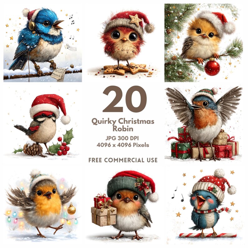 Whimsy Robin Christmas Robin Clipart: 20 Watercolor Whimsical Bird JPG (digital ...
