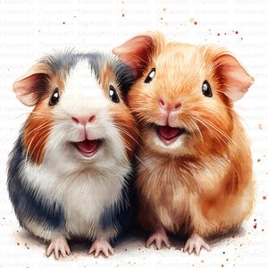 20 clipart fofos de porquinhos-da-índia em aquarela, porquinhos-da-índia fofos, clipart de aquarela para impressão, JPGs de alta qualidade, diário de sucata, artesanato em papel