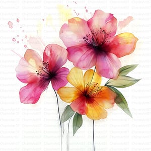 24 Vários clipart de flores, clipart de flores abstratas, clipart de aquarela, JPGs de alta qualidade, download digital, flor abstrata matisse
