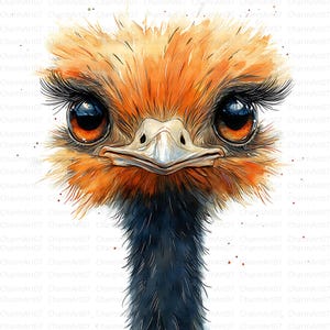 14 Ostrich Clipart, Safari Ostrich, ostrich printable, Printable Watercolor clipart, High Quality JPG, Digital download, Paper craf