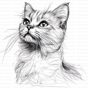 20 Katze Line Art Clip Art, Katze Linie Zeichnung, Tier Linie Kunst, hochwertige JPGs, Junk Journal, Kartenherstellung, Digital Download Kit, Scrapbooking