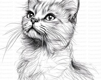 Cat Line Art Clip Art: Minimalist Animal Drawings (Digital Download Kit, JPGs)