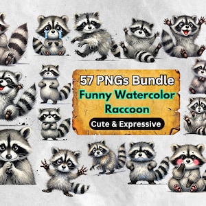 Funny Raccoon PNG Clipart Bundle Digital Download Cute Wildlife Animal Stickers Transparent Raccoon Sublimation for T-Shirts and Mugs