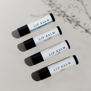 Lip Balm Sampler Pack - Set of 4
