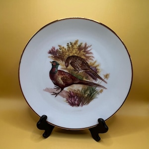 Vintage West German Pheasant Plate Gold Trim | Mid Century Hunting Bird Decor | Collectible Porcelain Game Bird Wall Display