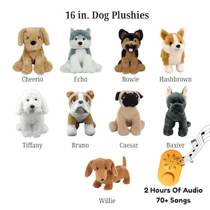 May include: A collection of nine 16-inch dog plushies labeled Cheerio, Echo, Bowie, Hashbrown, Tiffany, Bruno, Caesar, Baxter, and Willie. An orange audio device with musical notes and the text 2 Hours Of Audio 70+ Songs is included in the set.