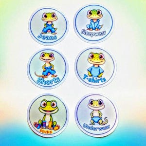 Kids Clothing Drawer Labels, Set of 6 Frog Dresser Stickers, Toddler Closet Organization, Nursery Wardrobe Tags, Visual Labels for Boys